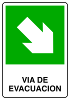 Nuevo (PNG)