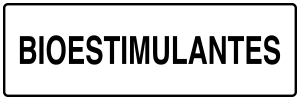 Nuevo (PNG)