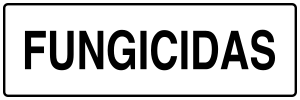 Nuevo (PNG)