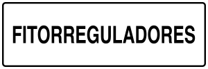 Nuevo (PNG)