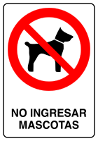 Nuevo (PNG)
