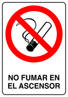 Nuevo (PNG)