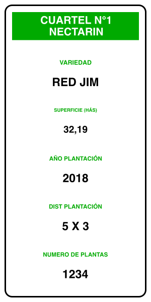 Nuevo (PNG)
